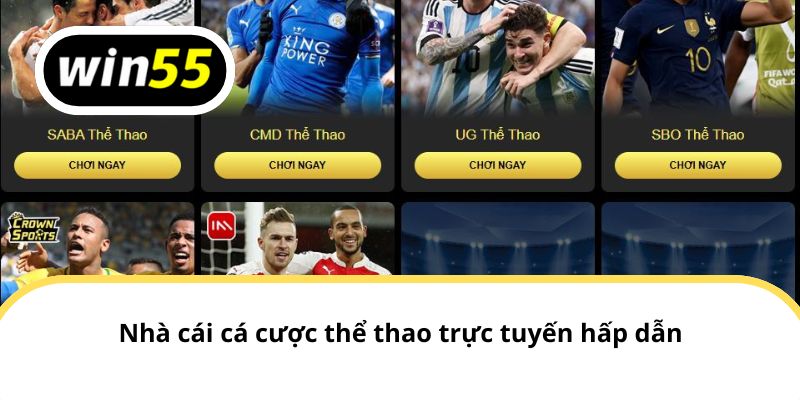 Nền tảng cá cược thể thao trực tuyến hấp dẫn